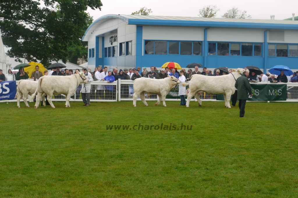 WCC Nagy-Britannia 2012 - DZ